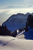 Balcon Est du Vercors : La T�te Chevali�re